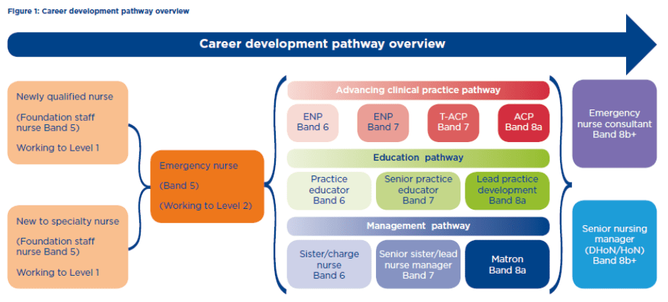 ED Nurse Career Pathway